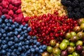 Gooseberries, blueberries, mulberry, raspberries, white and red currants Royalty Free Stock Photo