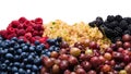 Gooseberries, blueberries, mulberry, raspberries, white and red currants Royalty Free Stock Photo