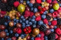 Gooseberries, blueberries, mulberry, raspberries, white and red currants Royalty Free Stock Photo