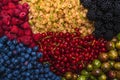 Gooseberries, blueberries, mulberry, raspberries, white and red currants Royalty Free Stock Photo