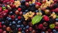 Gooseberries, blueberries, mulberry, raspberries, white and red currants Royalty Free Stock Photo