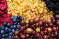 Gooseberries, blueberries, mulberry, raspberries, white and red currants Royalty Free Stock Photo