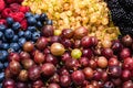 Gooseberries, blueberries, mulberry, raspberries, white and red currants Royalty Free Stock Photo