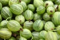 Gooseberries Royalty Free Stock Photo