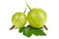 Gooseberries Royalty Free Stock Photo