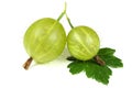 Gooseberries Royalty Free Stock Photo