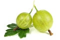 Gooseberries Royalty Free Stock Photo