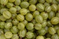 Gooseberries full frame close up Royalty Free Stock Photo