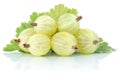 Gooseberries gooseberry berries fresh fruits fruit isolated on w Royalty Free Stock Photo