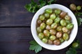 Gooseberries Royalty Free Stock Photo