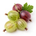 Gooseberries isolated on transparent background Royalty Free Stock Photo