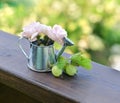 Gooseberries and small roses in cute watering can