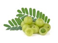 Gooseberries on white background