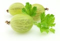 Gooseberry