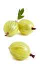 GOOSEBERRY BERRIES Royalty Free Stock Photo