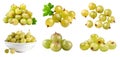 Gooseberry gooseberries fruit, many angles and view side top front cluster stalk group cut isolated on transparent, PNG Royalty Free Stock Photo