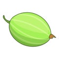 Gooseberry icon, cartoon style