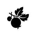 Gooseberry icon