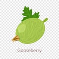 Gooseberry icon, isometric 3d style