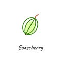 Gooseberry icon vector illustration. Outline colored style.