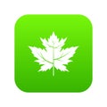 Gooseberry leaf icon digital green