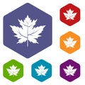 Gooseberry leaf icons set hexagon