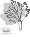 Gooseberry leafs pattern vector illustration