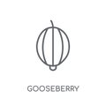 Gooseberry linear icon. Modern outline Gooseberry logo concept o