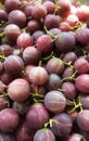 Many of gooseberries close-up Royalty Free Stock Photo