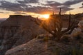 Gooseberry mesa, Utah, USA at sunset Royalty Free Stock Photo