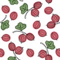 Gooseberry seamless vector pattern. Indian gooseberry Malacca tree, or gooseberry. Edible fruit. Good for backdrop, textile