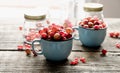 Gooseberry Royalty Free Stock Photo