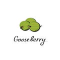 Gooseberry vector cartoon flat illustration. Indian gooseberry or amla amala sign. Fresh berry fruit and vegetable logo