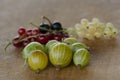 Gooseberry with white, red and black currant Royalty Free Stock Photo