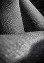 Goosebumps on skin of a woman Royalty Free Stock Photo