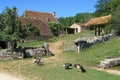 Gooses are standing in front of the entrance of a farm in France