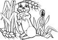 Gopher, coloring book page, illustrations set.