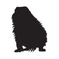 Gopher Spermophilus Richardsonii  Standing On a Front View Silhouette Found In Map Of North America Royalty Free Stock Photo