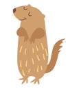 Gopher. Vector illustration