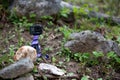 GoPro Sitting on a Rock in the Forest Royalty Free Stock Photo