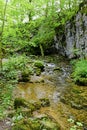 Gordale Beck, near Janet`s Foss Waterfall, Malham Cove, Yorkshire Dales, England, UK Royalty Free Stock Photo