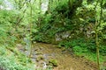 Gordale Beck, near Janet`s Foss Waterfall, Malham Cove, Yorkshire Dales, England, UK Royalty Free Stock Photo