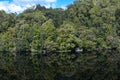 Gordon River Tasmania Royalty Free Stock Photo