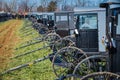 Amish Buggies at Mud Sale Royalty Free Stock Photo