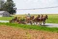 Amish Farmer With Team of Horses