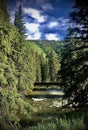 Gore Creek in Vail Colorado Royalty Free Stock Photo