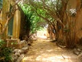 Goree island street - Senegal