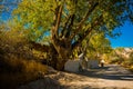 Goreme region, Cappadocia, Anatolia, Turkey: The road leads to the rocks, near the tree and the fence in summer in Sunny weather Royalty Free Stock Photo