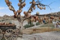 Tree Of Wishes with clay pots in Cappadocia. Goreme, Nevsehir Province, Cappadocia, Central Anatolia, Turkey Royalty Free Stock Photo