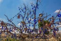 GOREME, TURKEY - JULY 20, 2019: Evil eye amulets on a tree near Goreme town in Cappadocia, Turk